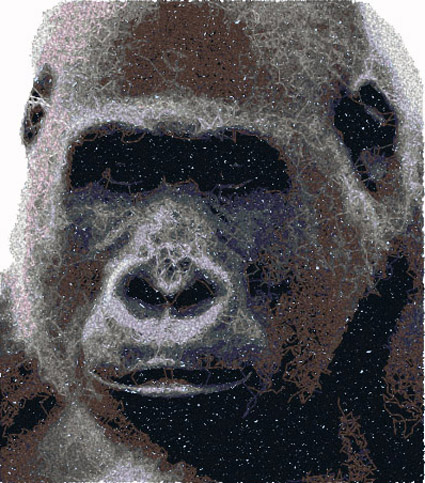 Gorilla face