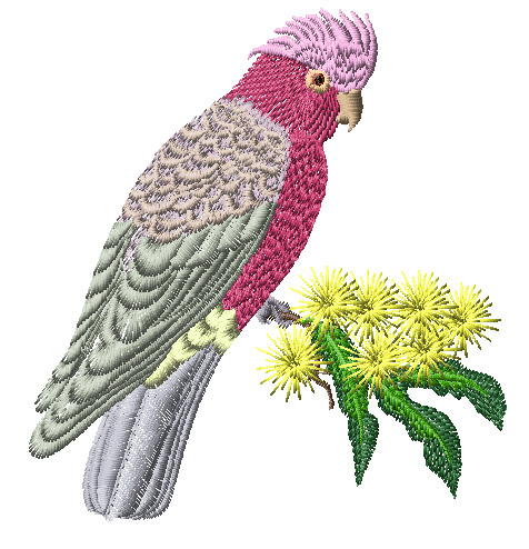 AB114