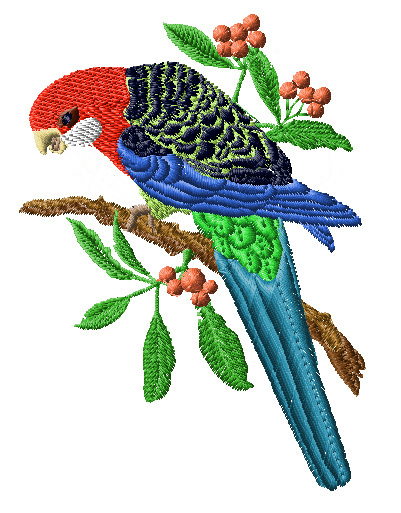 AB203