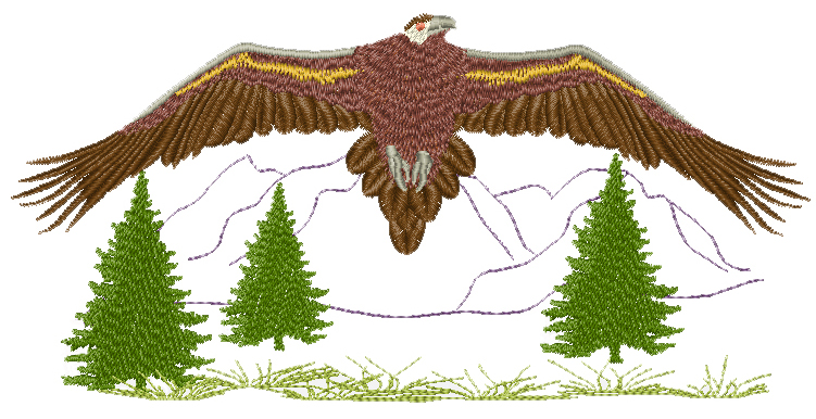 A Few Designs wedge tailed eagle flying
