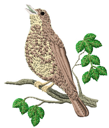 Birds of britain