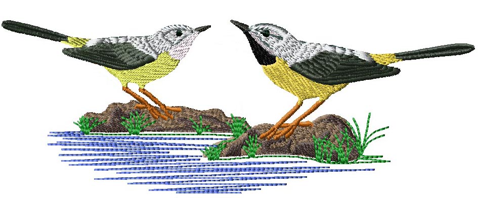 birds of britain