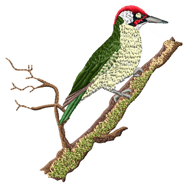 Birds of Britain