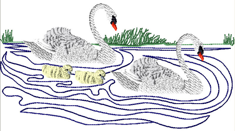 Birds of Britain