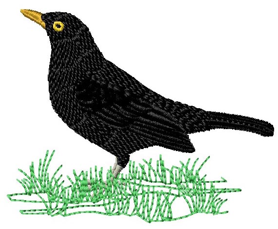 Birds of Britain