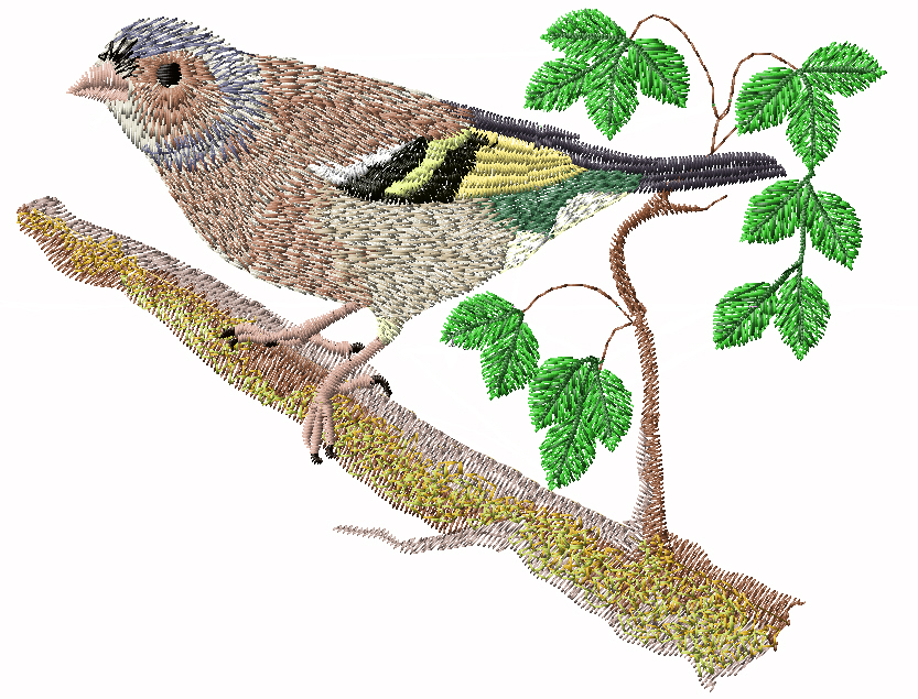 Birds of Britain