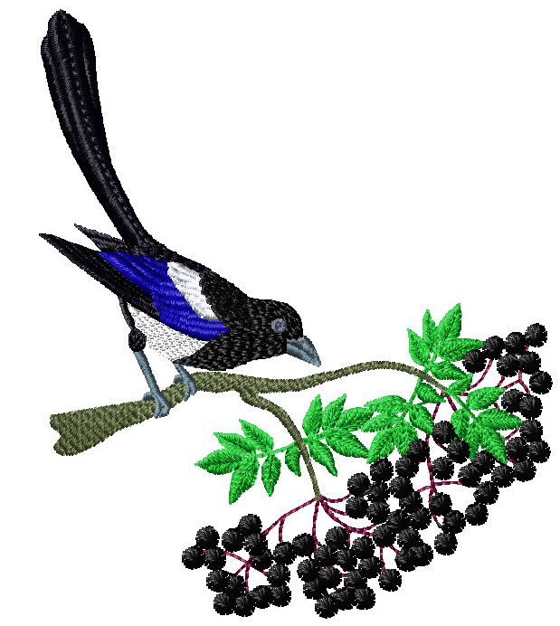 Birds of Britain