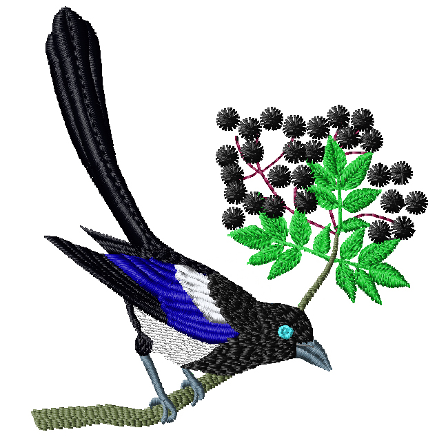 Birds of Britain