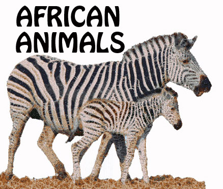 A Few Designs African Animals