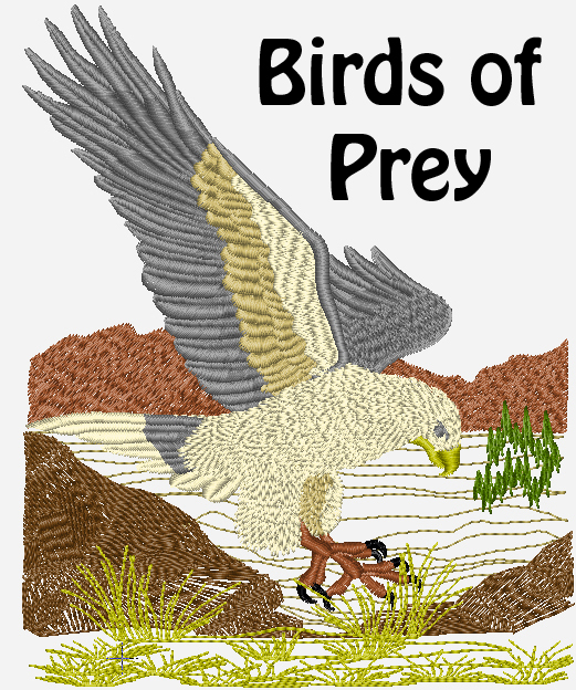 Australian Birds of Prey