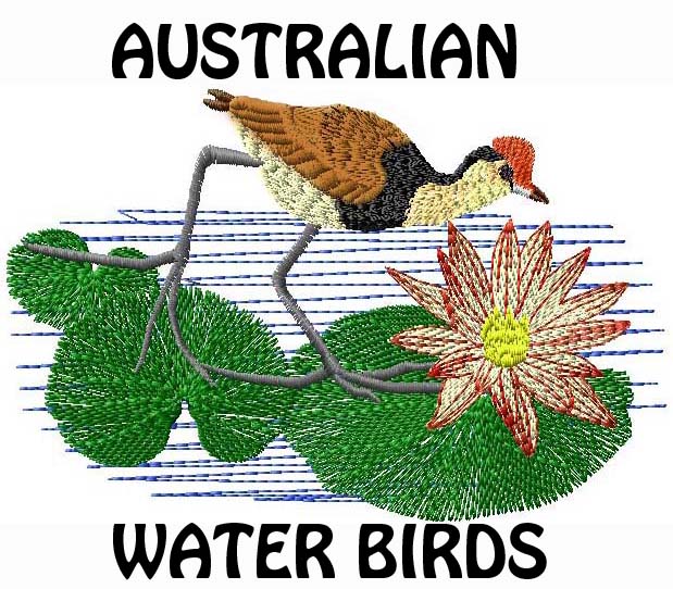 A Few Designs Water Birds